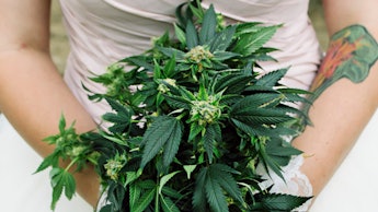 A woman wearing a wedding dress and holding a bouquet of marijuana at her weed wedding