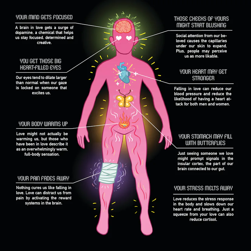 Loving Body What Being in Love Does to Your Whole Body, in One Stunning Infographic
