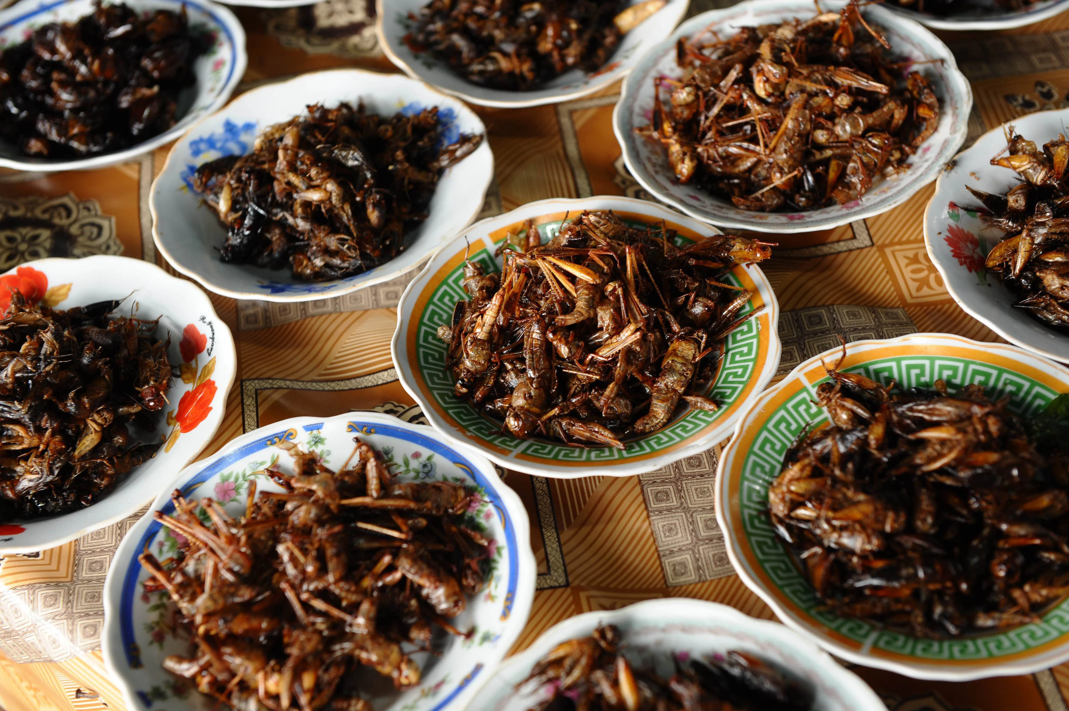 6 Edible Insects You Can Try for Lunch If You're Feeling Adventurous