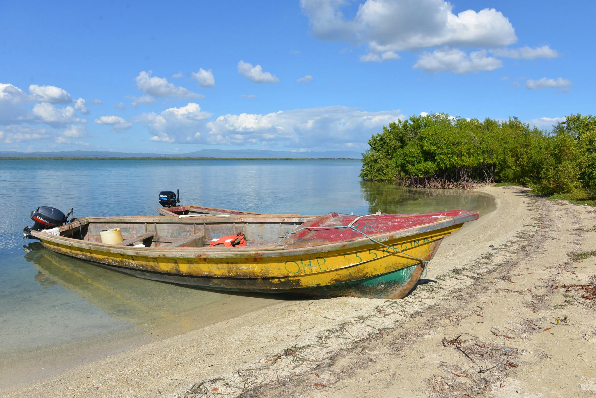 is whatsapp down today in jamaica