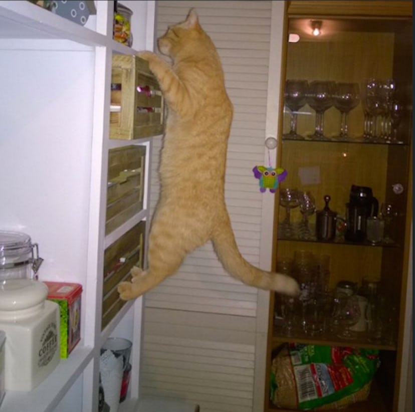 15 Times When It's Totally Appropriate to Catcall