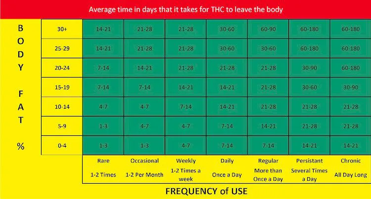 elfbar elfa kaufen How Long Does Weed Stay in Your System? main image 1