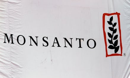 A white cloth that has the Monsanto logo on it, one of the chief developers of genetically modified ...