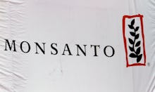 A white cloth that has the Monsanto logo on it, one of the chief developers of genetically modified ...