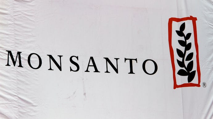 A white cloth that has the Monsanto logo on it, one of the chief developers of genetically modified ...