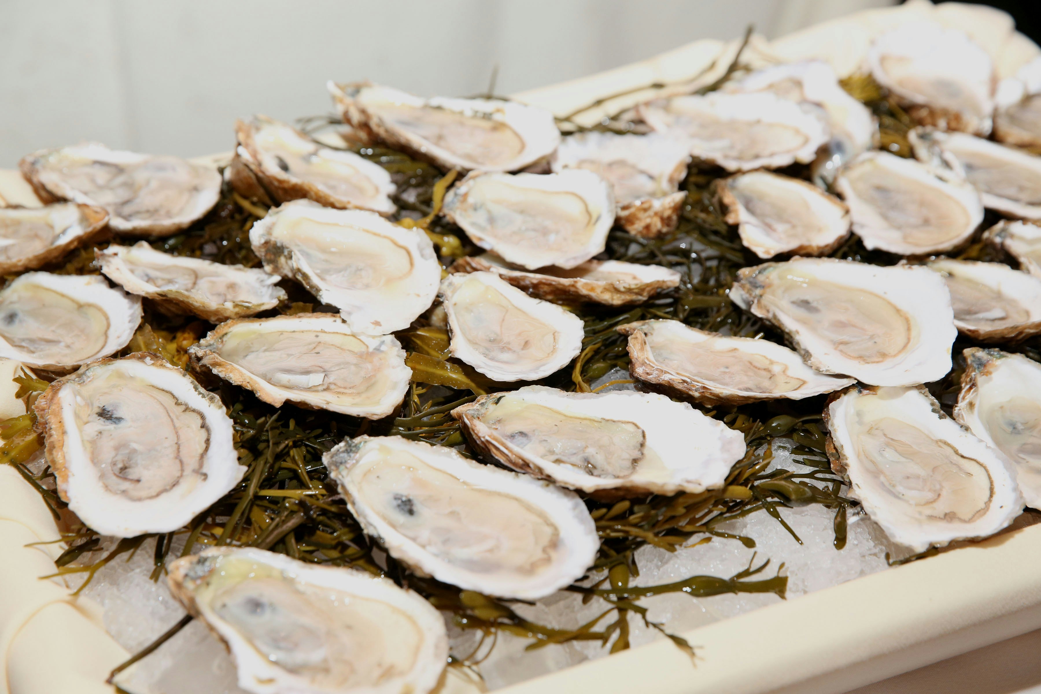 Do aphrodisiacs work The truth about foods like oysters and