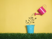 A money tree growing out of a blue bucket, watered with a pink watering can, representing investment...