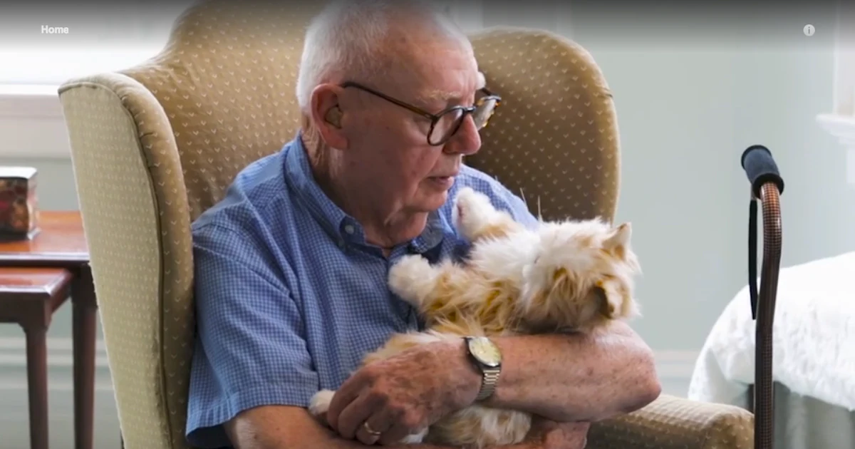 Hasbro Introduces Toys For The Elderly Starting With A Robotic Cat