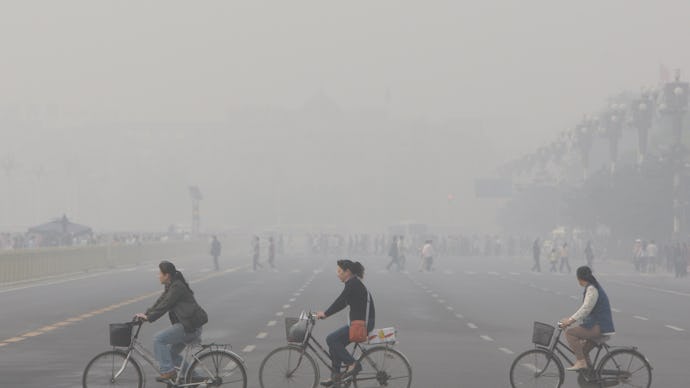 Smog-filled city of Zhengzhou and tree people driving their bikes trough it, with some others not be...