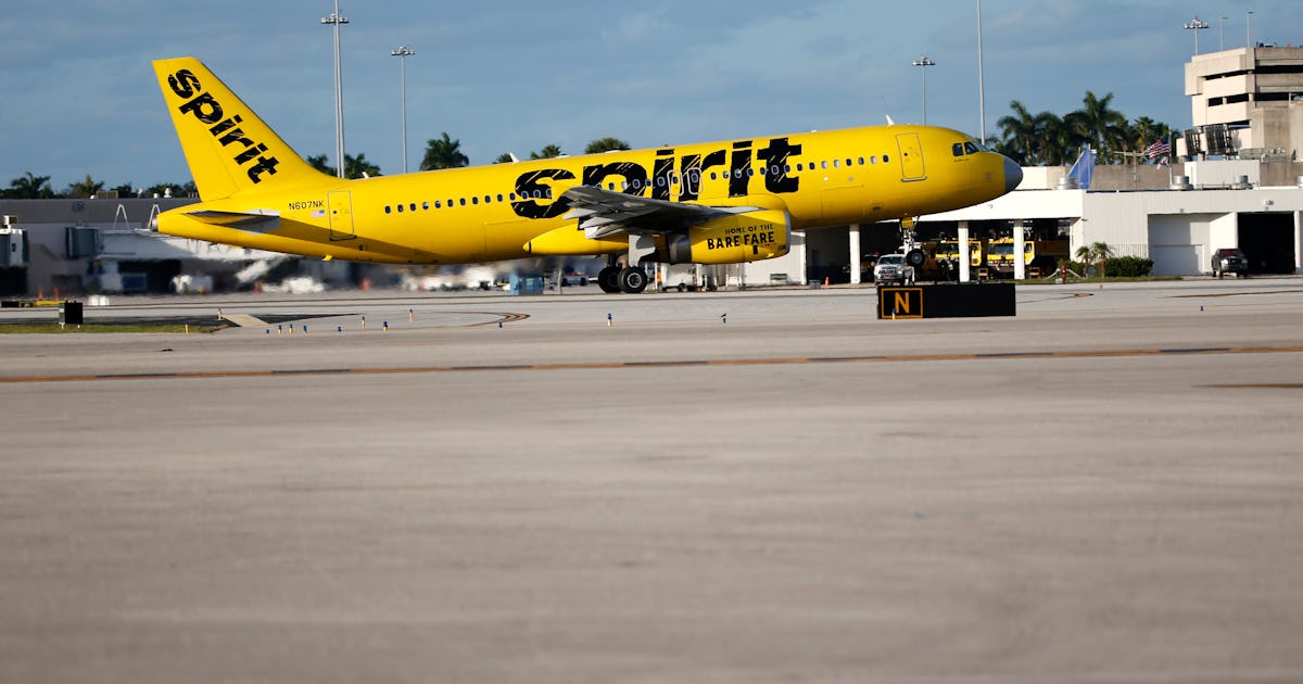 Spirit Airlines Brawl 2025