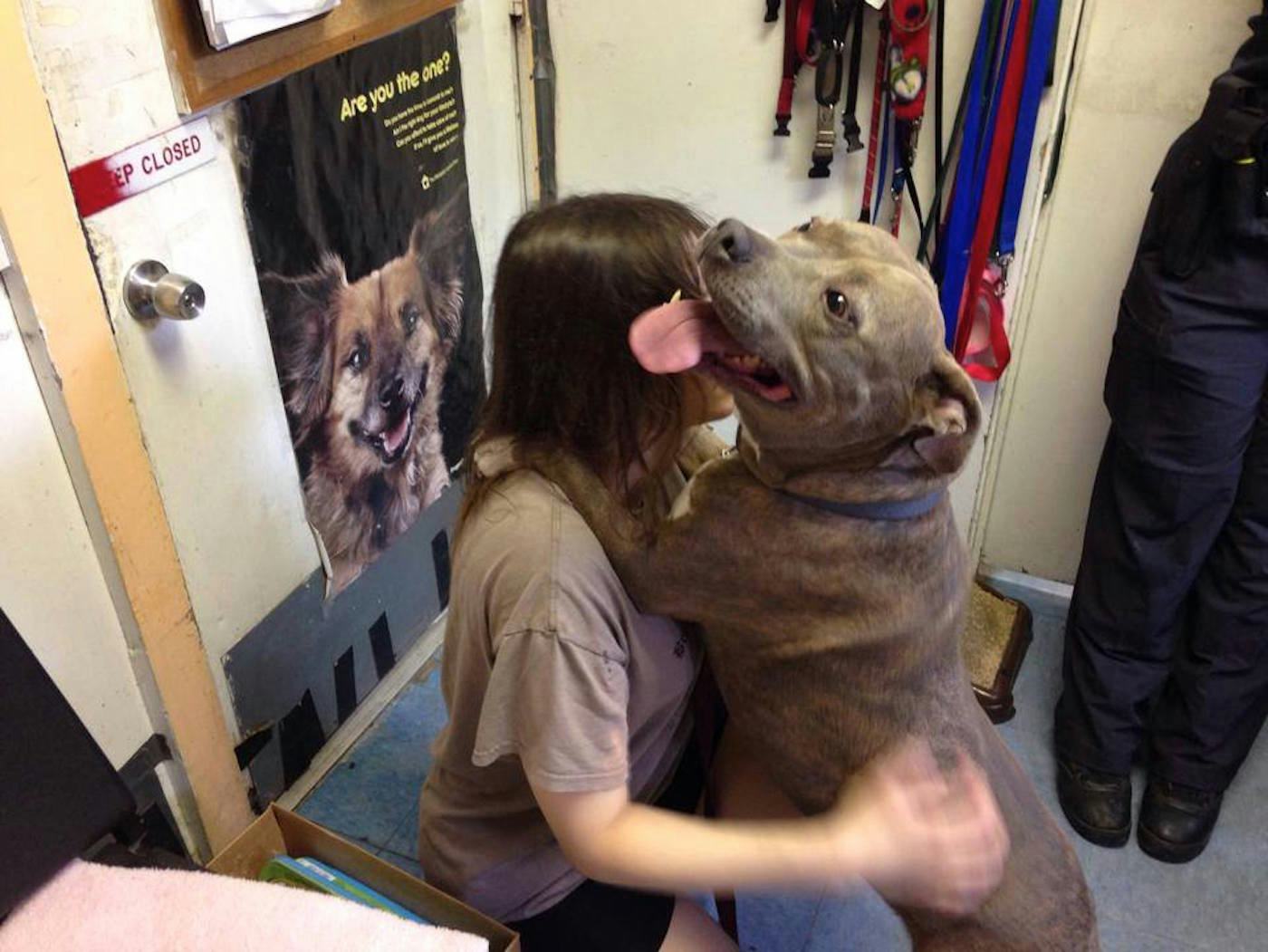 Meet The Most Dangerous Pit Bull On Earth