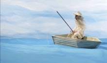 Man in white coat in the middle of the blue sea sitting in the boat and fishing from a 5-Second vide...