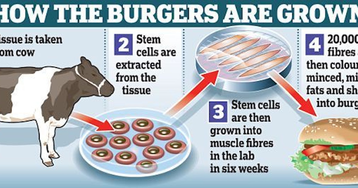 Scientists Have Discovered a Way For Us to Eat Meat Without Killing Animals