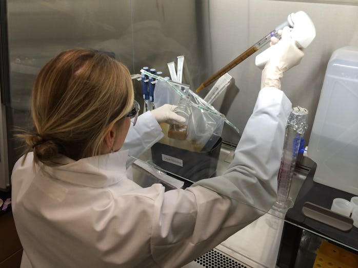 There's a Huge Advancement in Poop Science That Could Save Thousands of ...