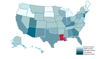 Harvard Investigation Declares the Most Corrupt States in America