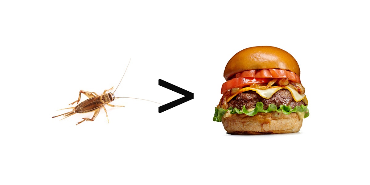 what happens if you eat a bug in food