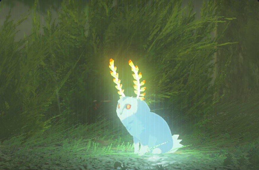 Zelda Breath Of The Wild Blupee How To Catch The Glowing Blue Spirit Rabbit