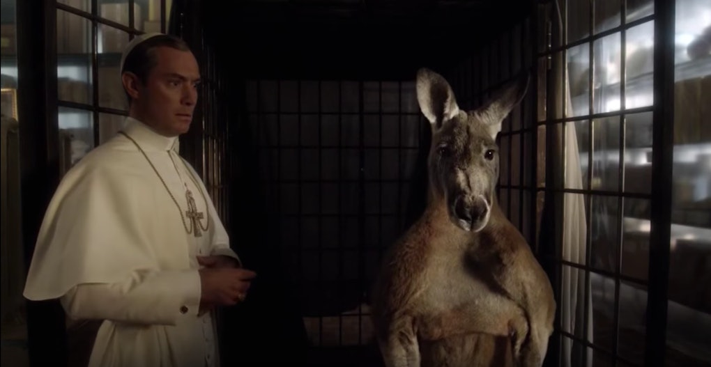 The Young Pope Confessional What S The Deal With The Kangaroo
