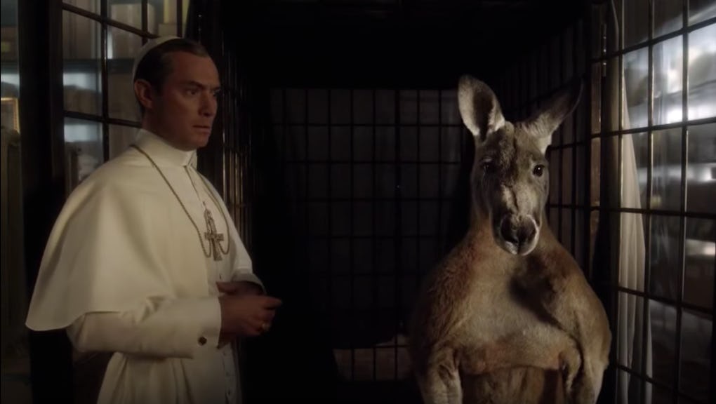The Young Pope Confessional What S The Deal With The Kangaroo