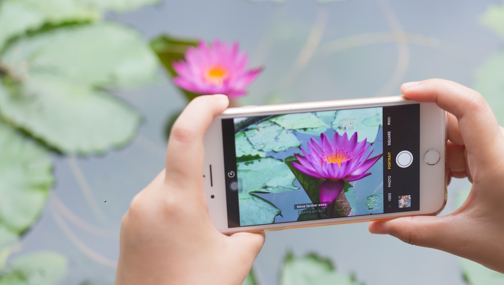 How To Take Beautiful Close up Photos With An IPhone Every Time how-to-take-beautiful-close-up-photos-with-an-iphone-every-time