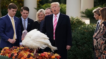 Donald Trump at the National Thanksgiving Turkey Presentation