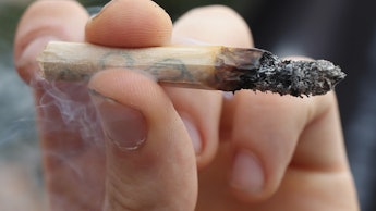 A hand holding a medical marijuana joint