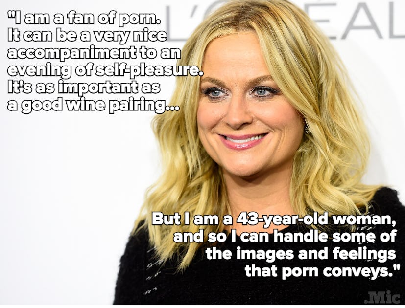 A portrait of Amy Poehler