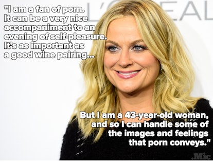 A portrait of Amy Poehler