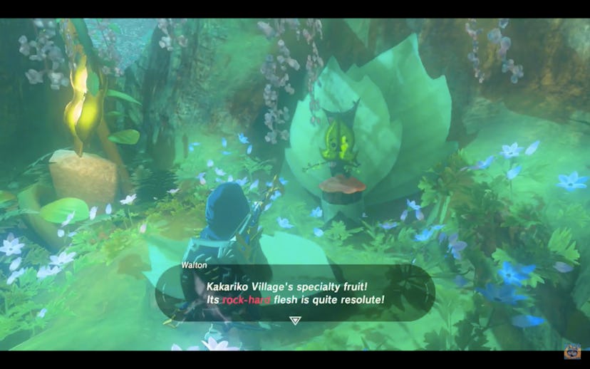 Breath Of The Wild Riddles Of Hyrule 'Zelda: Breath of the Wild' Riddles of Hyrule Guide: How to solve