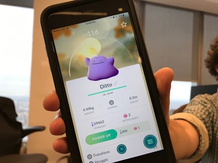Ditto on 'Pokémon Go' app