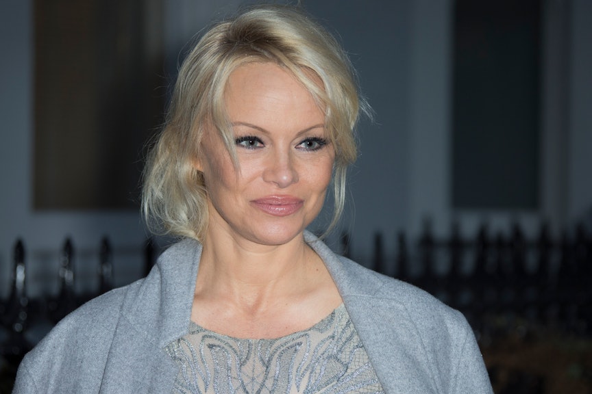 Pamela Anderson And Julian Assange The Timeline Of Their
