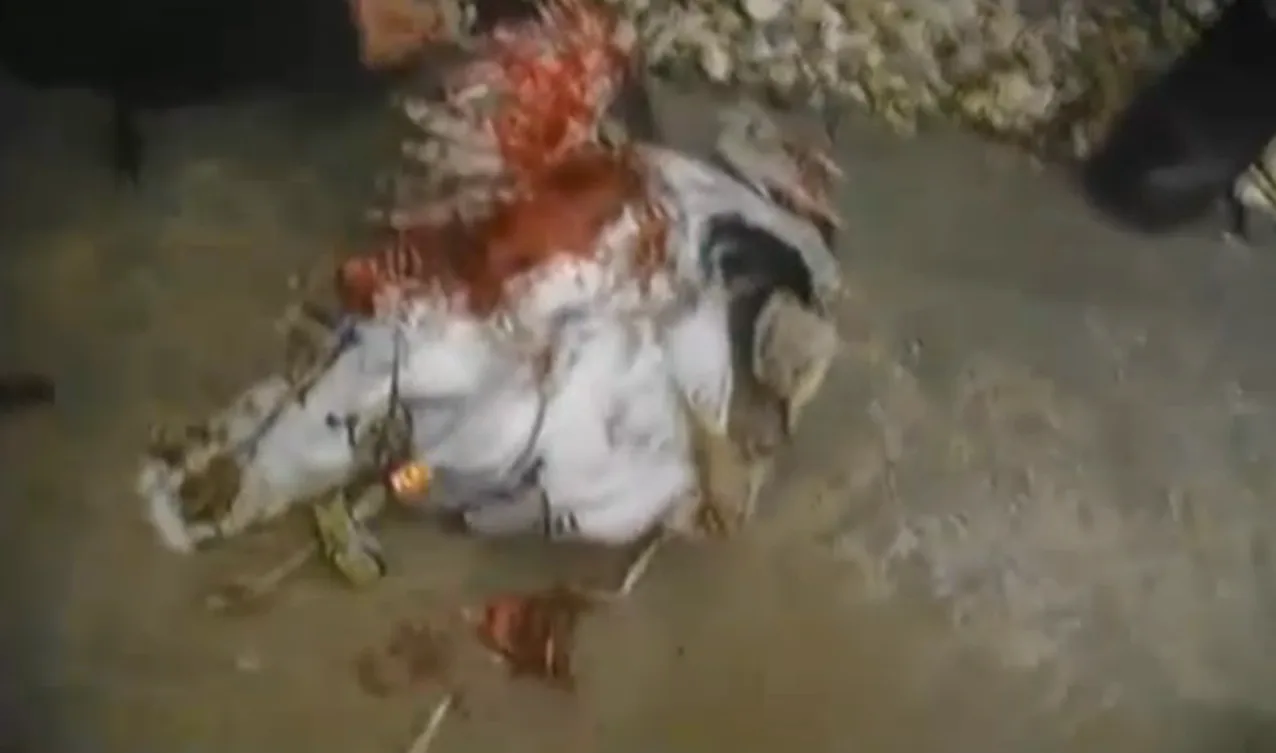 Afghan Police Shot An Exploding Bird Full of 