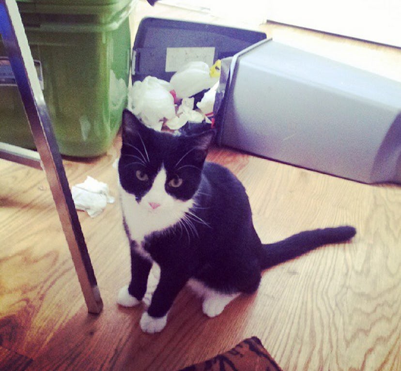 15 Times When It's Totally Appropriate to Catcall