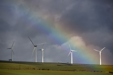 Wind turbines in a field during an overcast day with a rainbow going over them