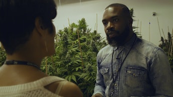 A man talking with Wanda James next to a marijuana plant