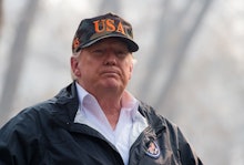 Donald trump standing in front of a forest wearing a black jacker and a black USA baseball cap