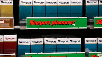 Two rows of Newport Marijuana Cigarettes in a store