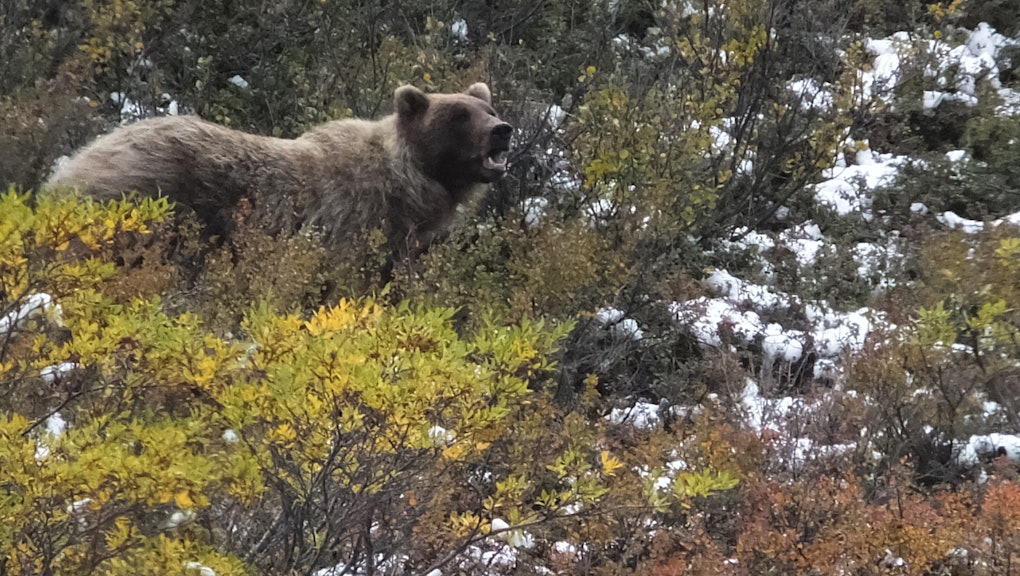 North Korea may have the technology to strike Alaska. Here’s how Alaska