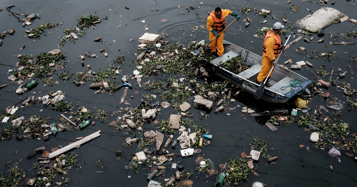 Environmental Contaminants In 2025 Olympics