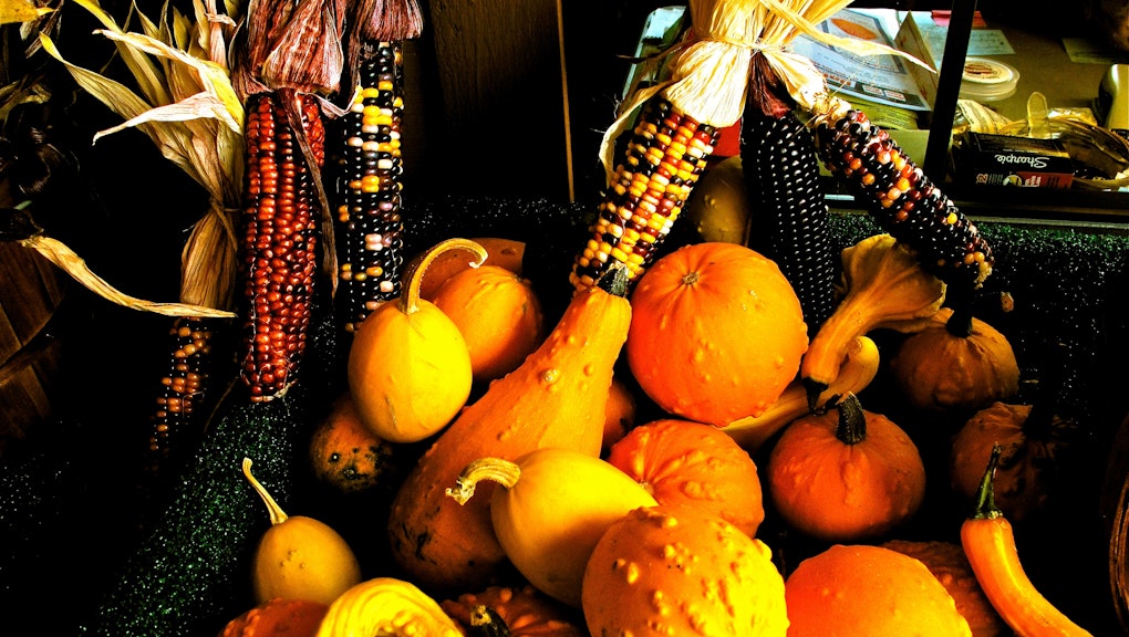 Can You Eat Decorative Gourds The Answer To The Question You