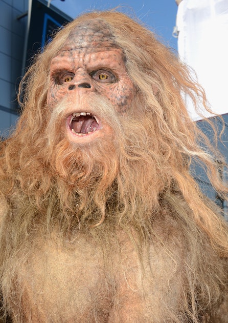 Did Bigfoot Really Exist? How Gigantopithecus Became Extinct