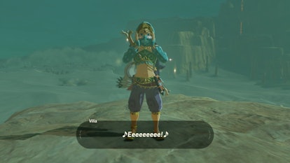 Zelda: Breath of the Wild' Outfits: Link looks simply fabulous in his  women's Gerudo suit