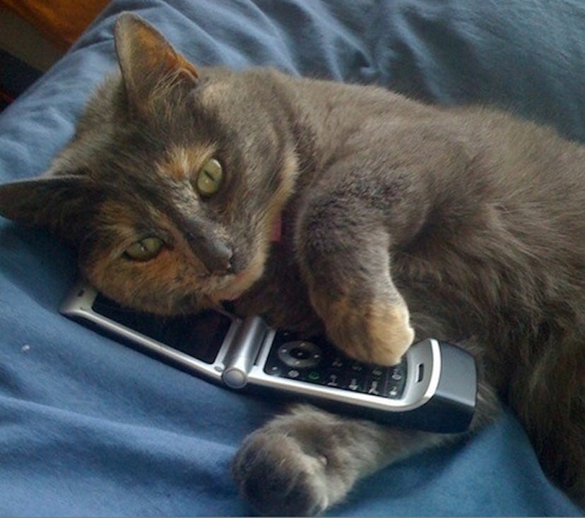 15 Times When It's Totally Appropriate to Catcall