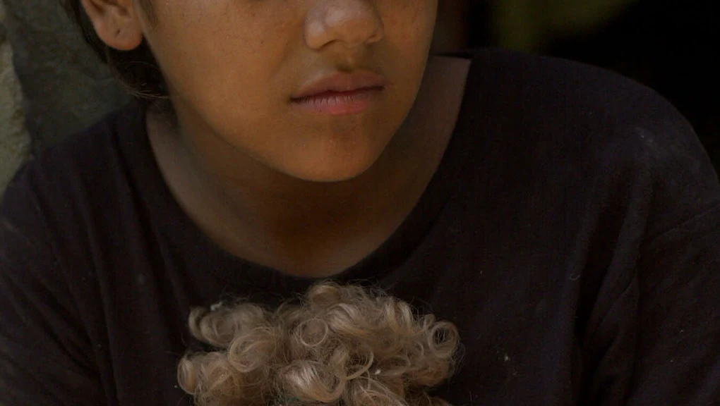 valentina shevchenko dating