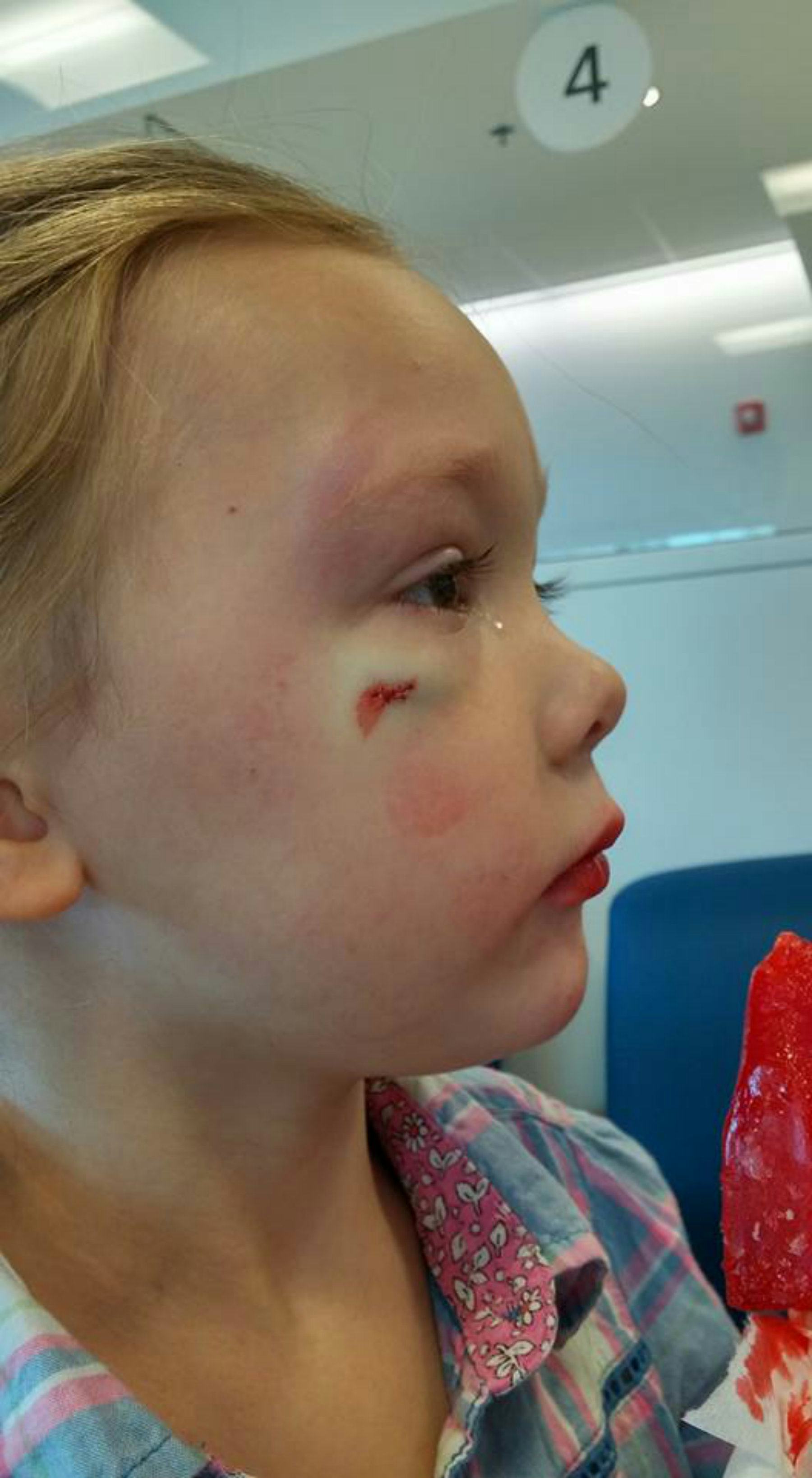 A Mom Is Speaking Out After Someone Told Her Daughter A Boy Hit Her ...