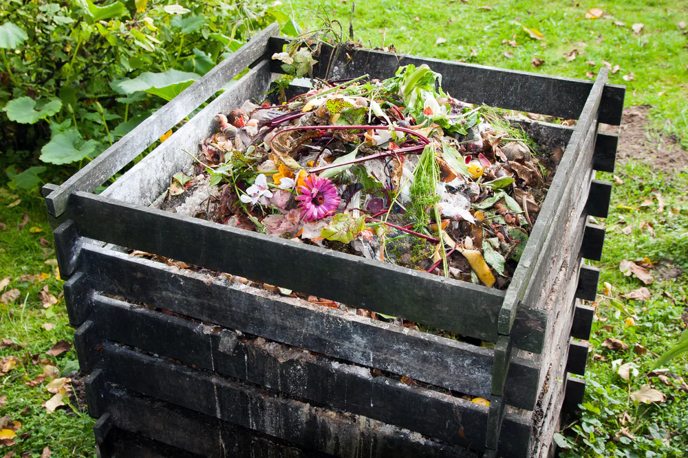 Compostul Here's your simple guide to composting fruit and veggie scraps ...