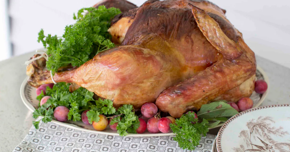 Weak Turkey Does eating Thanksgiving turkey really make you tired?