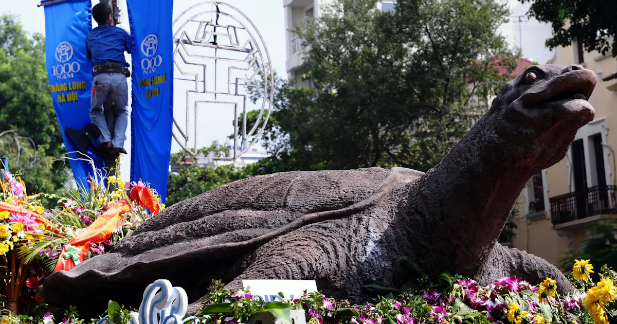 Calu Riu Turtle Cu Rua, the World's Most Important Turtle, Is Dead