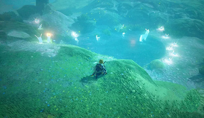 Blepee 'Zelda: Breath of the Wild' Blupee: How to catch the glowing blue ...