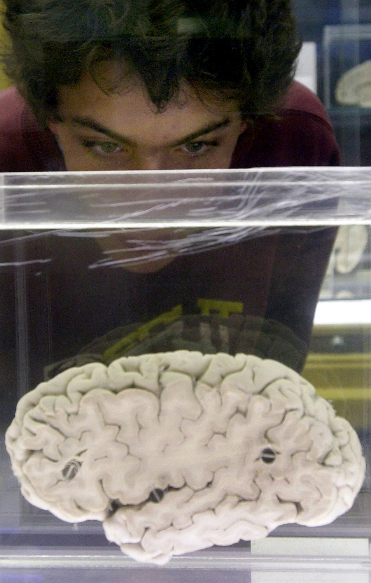 Science Has Discovered There Are Actually Two Kinds of Extroverts ...